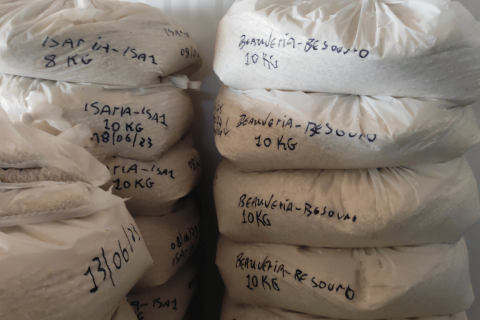Bio Produção de Fungos