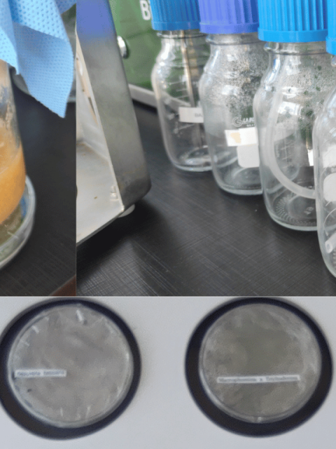 Produtos Biológicos de Controle – PCB’s