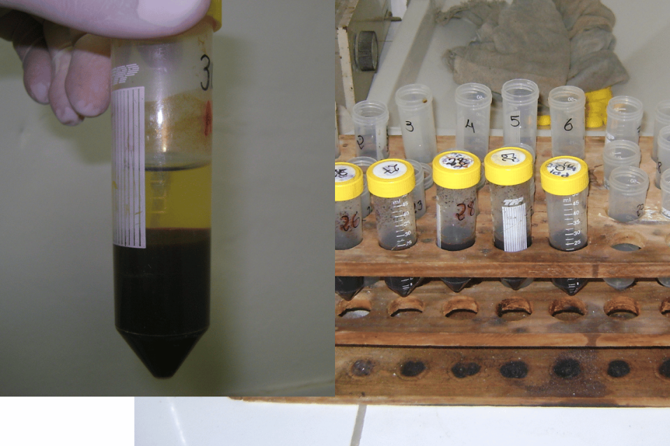 Estudo Orgânico do Solo