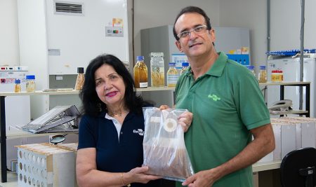 Brasil tem o 1º laboratório público de pesquisa acreditado para análise de inoculantes e identificação de microrganismos